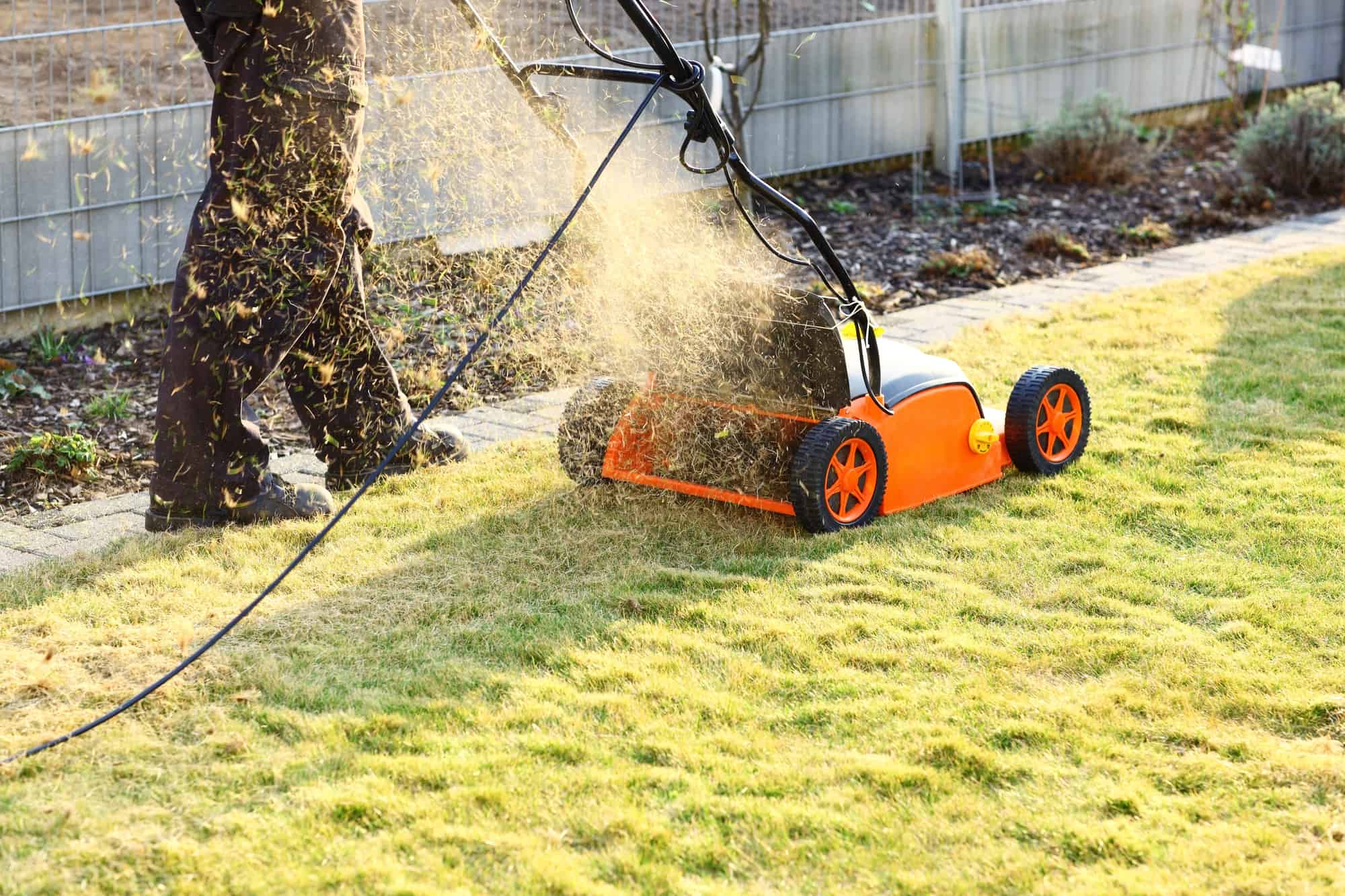 Using a scarifier to improving quality of the lawn